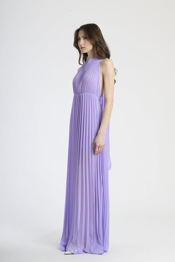 Elegant Long Pleated Dress Alice