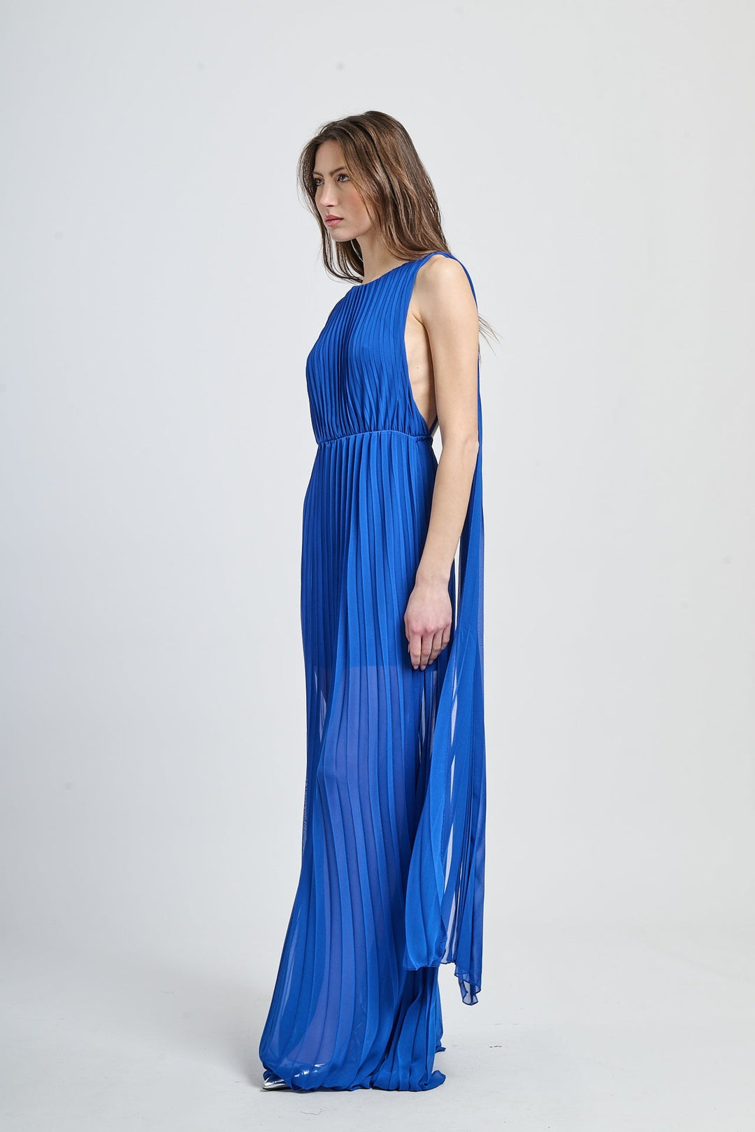 Elegant Long Pleated Dress Alice