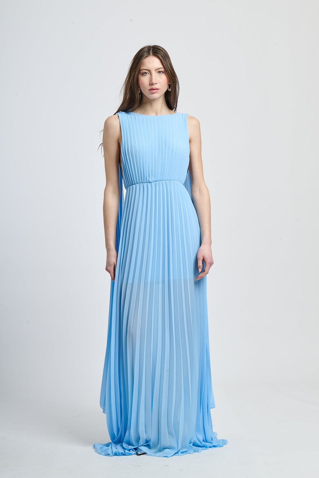 Elegant Long Pleated Dress Alice