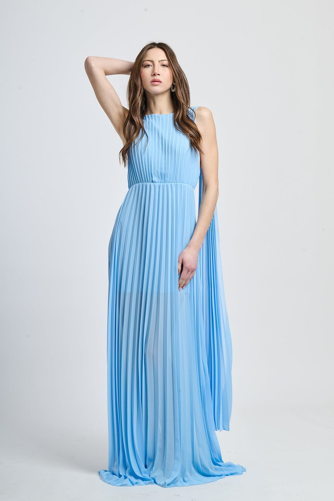 Elegant Long Pleated Dress Alice