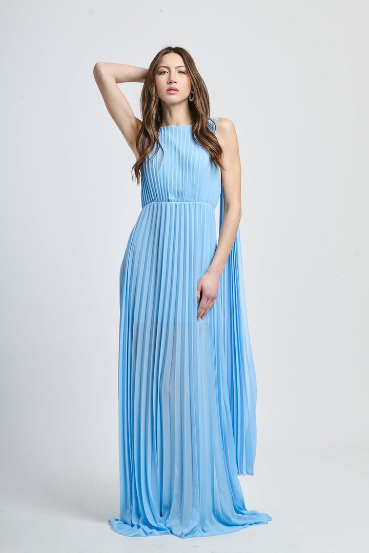 Elegant Long Pleated Dress Alice