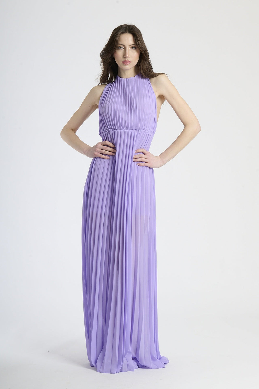 Elegant Long Pleated Dress Alice