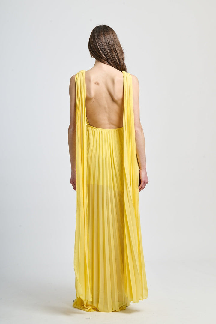 Elegant Long Pleated Dress Alice