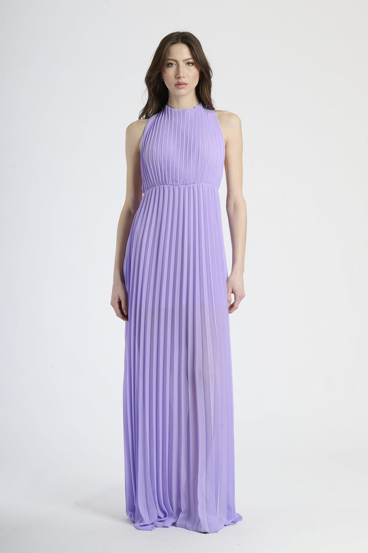 Elegant Long Pleated Dress Alice