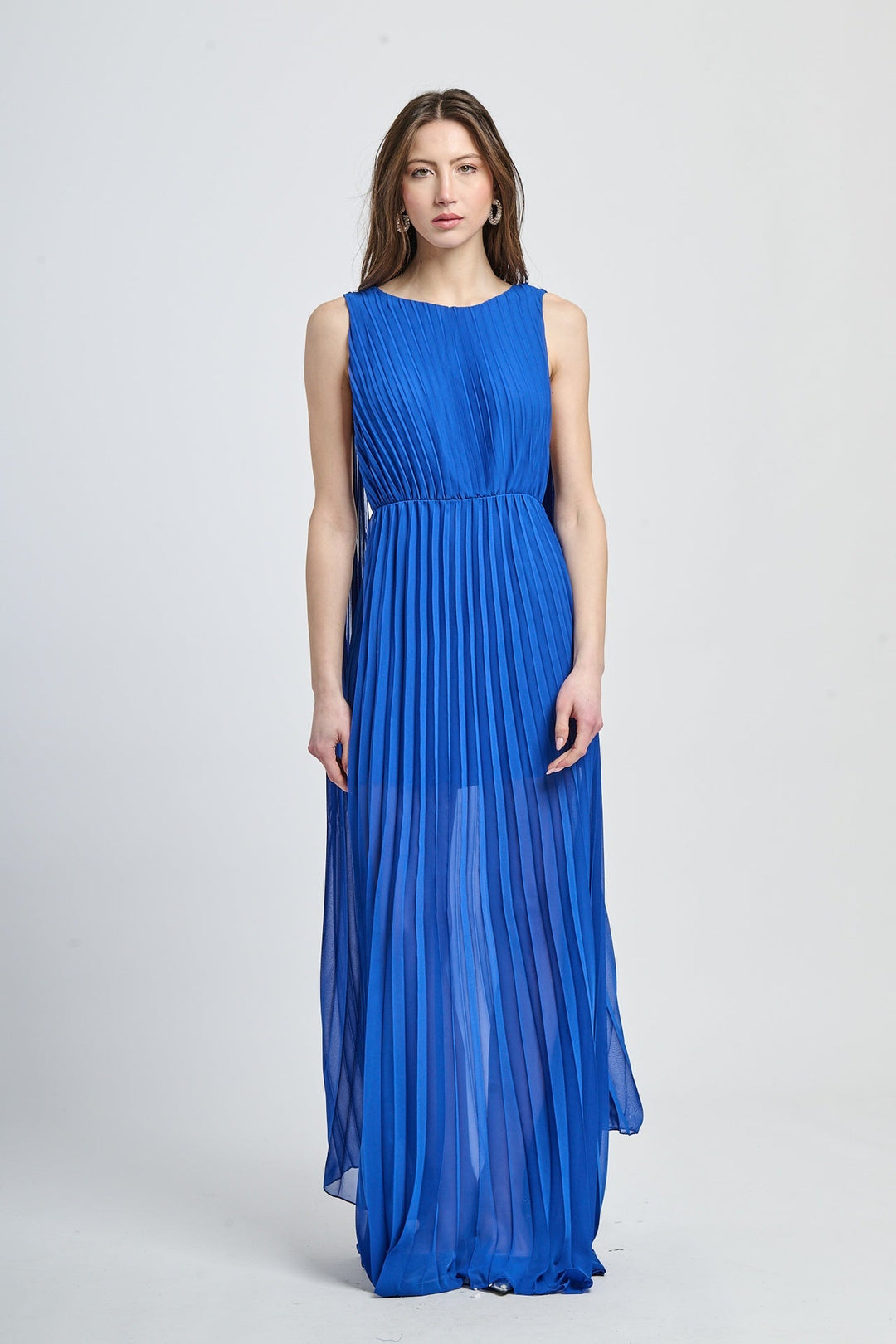 Elegant Long Pleated Dress Alice