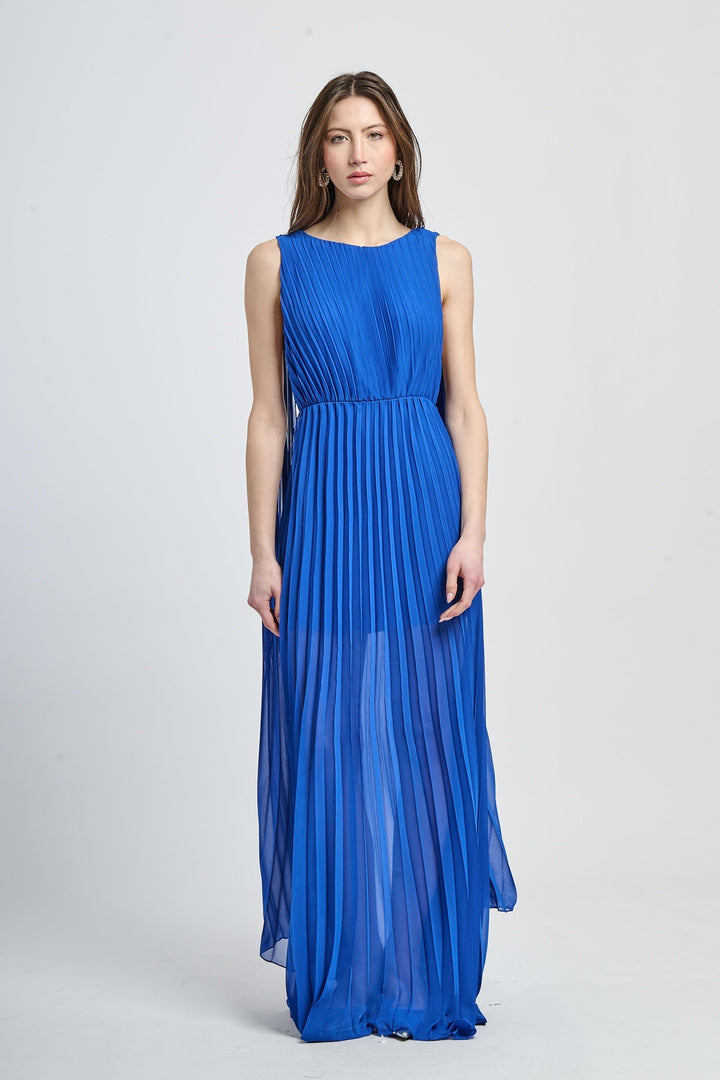 Elegant Long Pleated Dress Alice