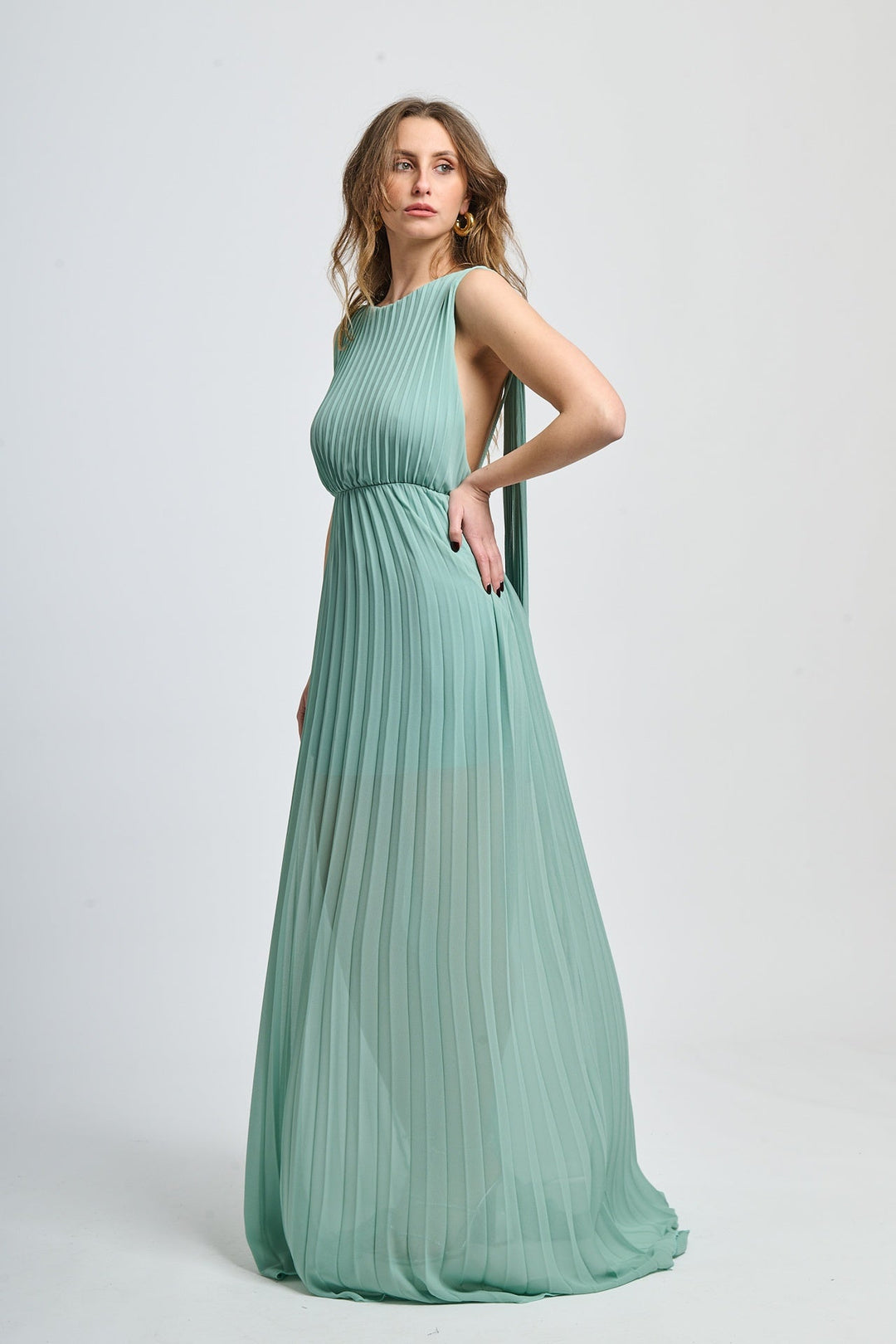 Elegant Long Pleated Dress Alice