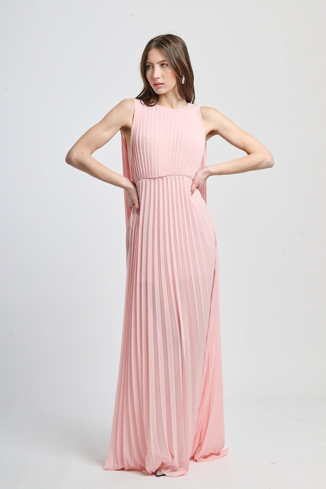Elegant Long Pleated Dress Alice