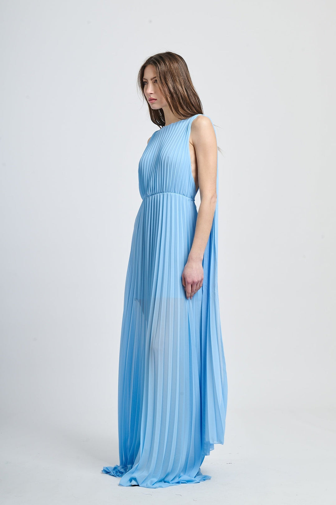 Elegant Long Pleated Dress Alice