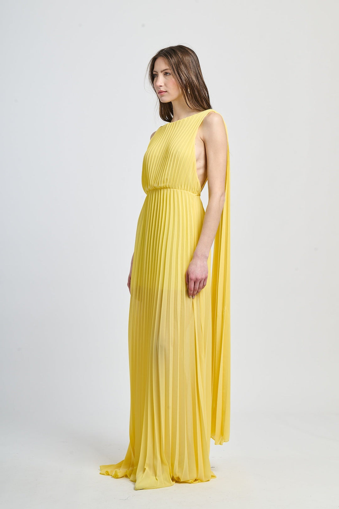Elegant Long Pleated Dress Alice