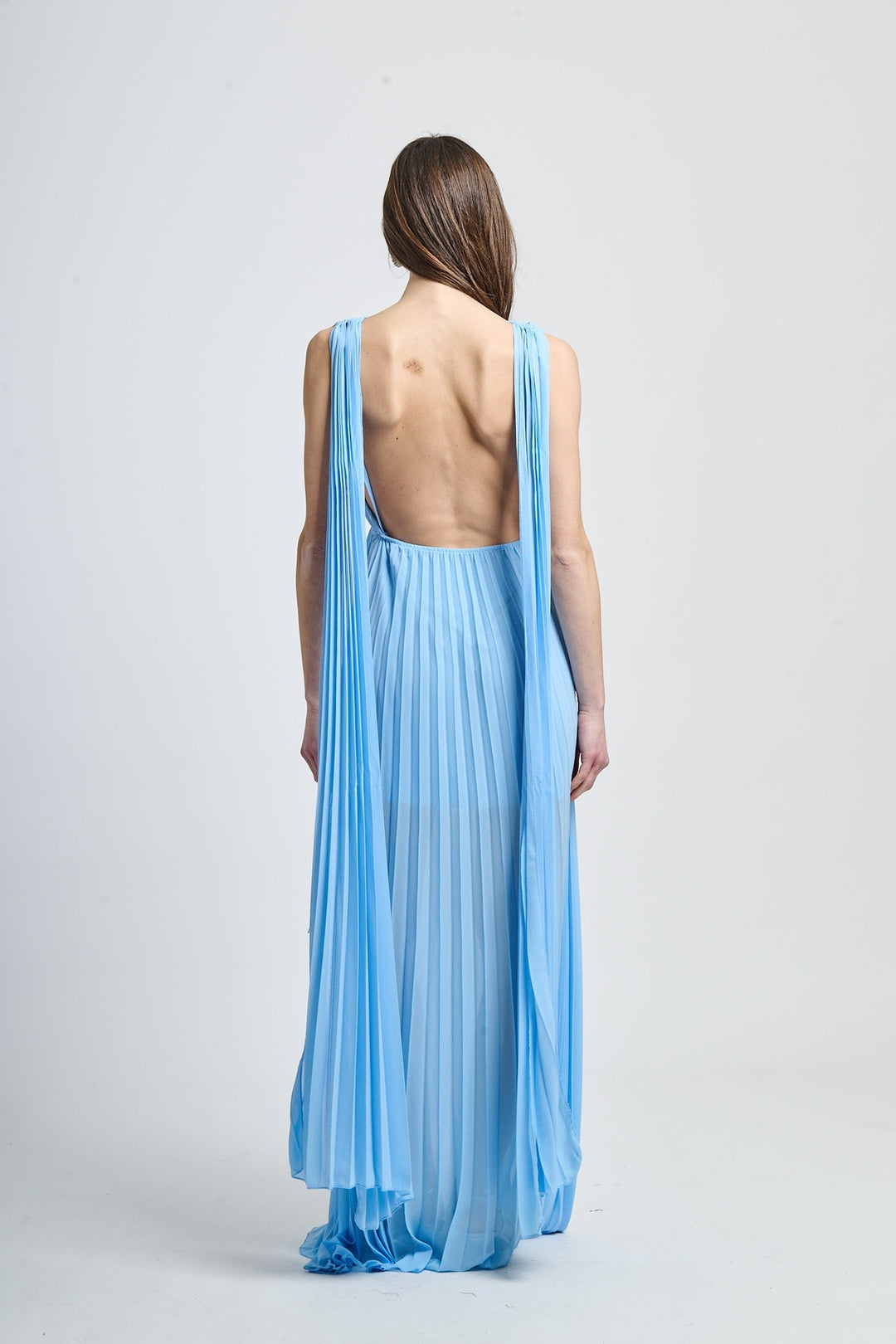 Elegant Long Pleated Dress Alice