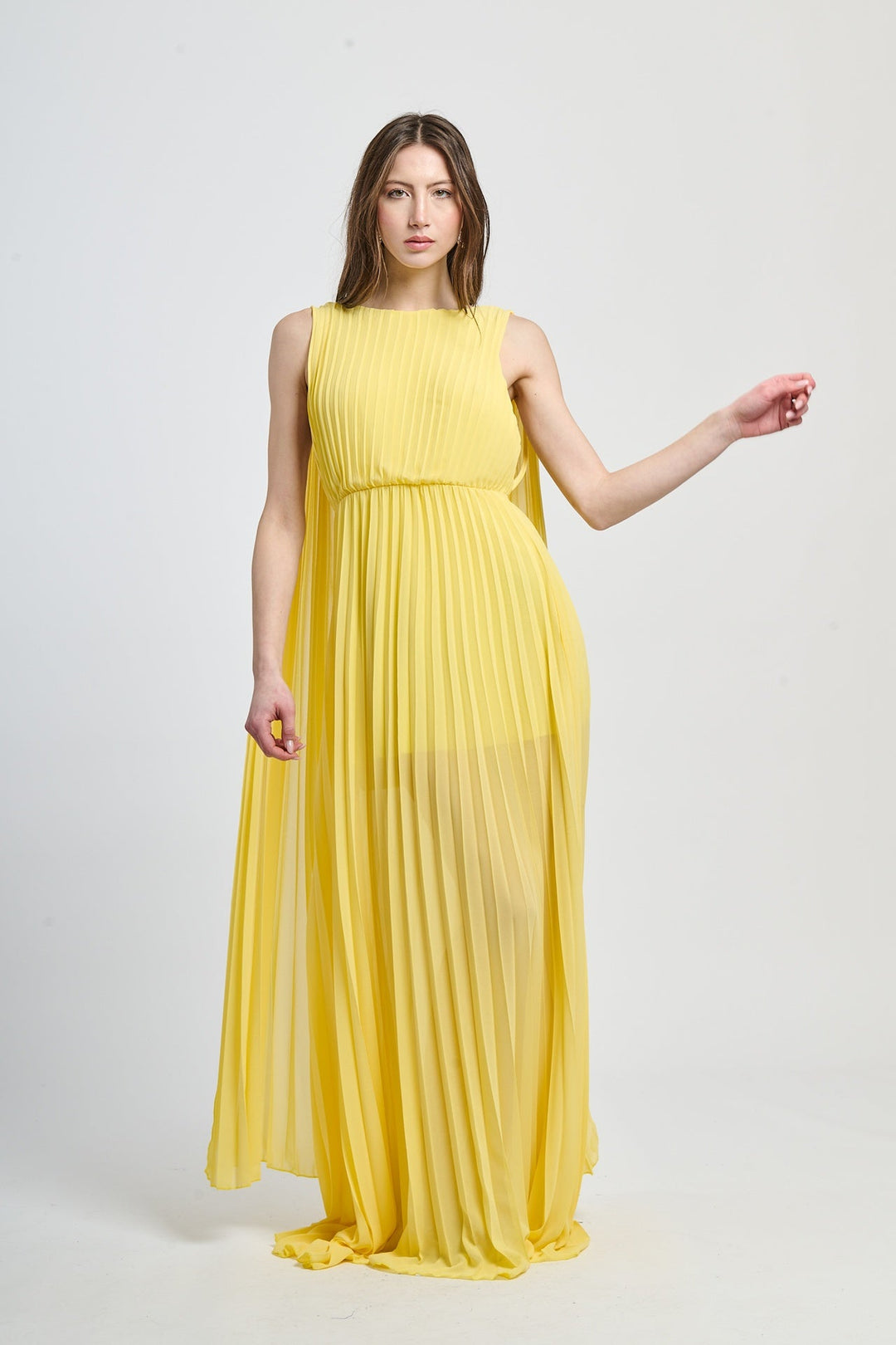 Elegant Long Pleated Dress Alice