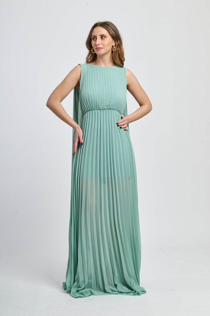 Elegant Long Pleated Dress Alice